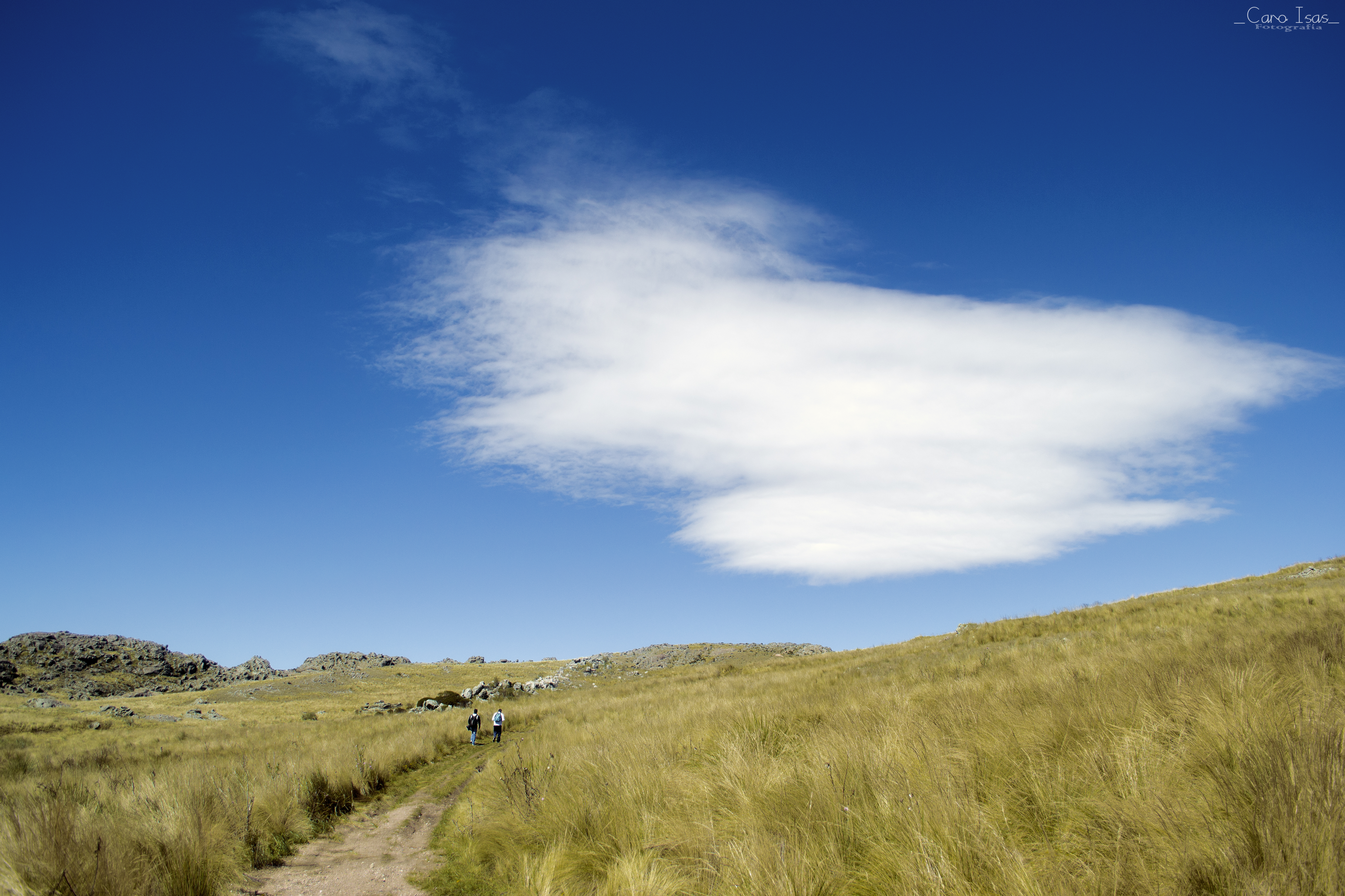 Obras Disponibles 12